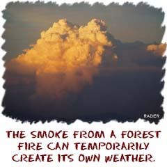 The smoke from a forest fire can temporarily create its own weather.