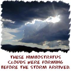 These nimbostratus clouds were forming before the storm arrived.